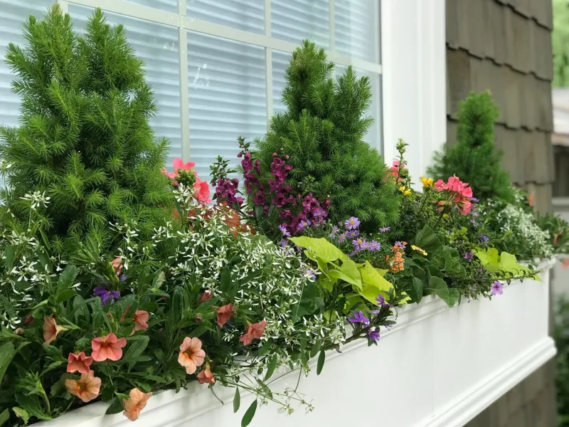 6 Weekend Home Decor Projects Oregon DIYers Swear By And 4 They Say Just Waste Time - Decor Hint Rain-Friendly Window Box Gardens