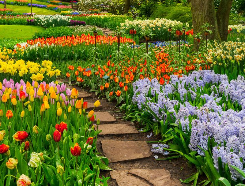 Seasonal Flower Beds