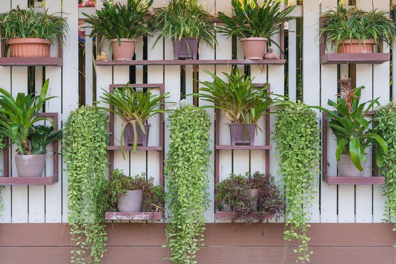 Vertical Gardens