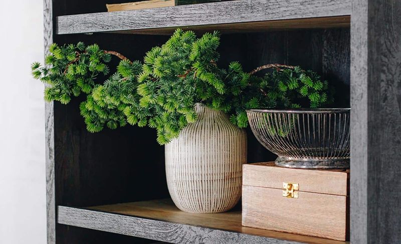 Designer Secrets: 8 Items You Should Absolutely Avoid Displaying On Your Living Room Shelves - Decor Hint Dusty Fake Plants