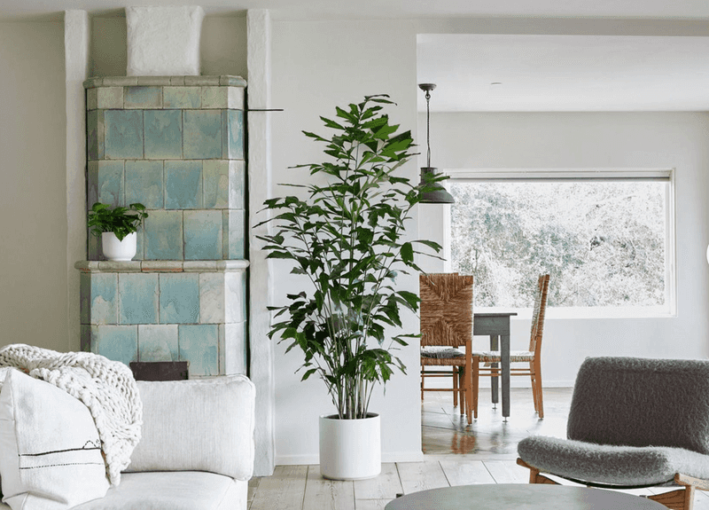 12 Simple Tips To Make Your Living Room Look Expensive And 10 Things You Should Avoid - Decor Hint Add Fresh Flowers Or Greenery