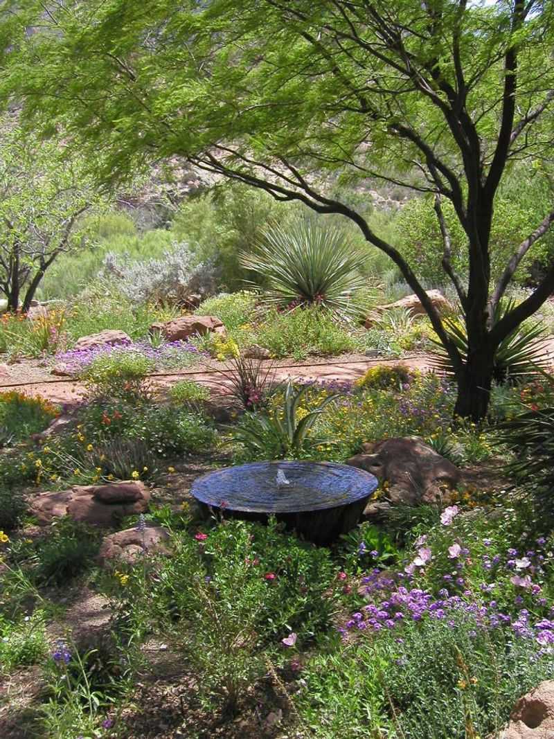 10 Reasons Arizona Homes Are Built for Beauty and Survival - Decor Hint Water Efficiency