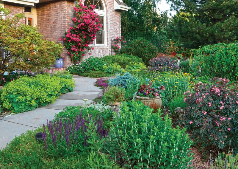 Bluegrass-Friendly Landscaping