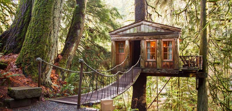Forest Treehouse – Hoh Rainforest, Washington, USA