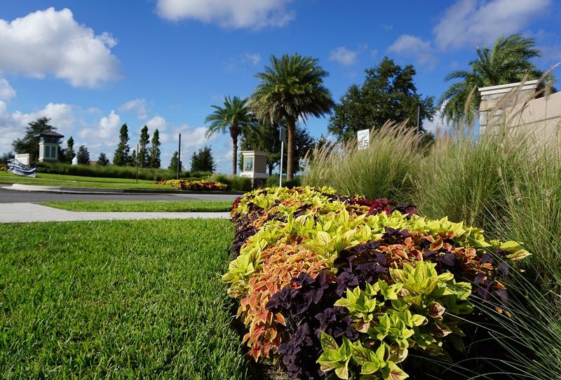 19 Unrealistic HGTV Projects That Would Never Work In Lubbock Homes - Decor Hint High-Maintenance Landscaping Trends