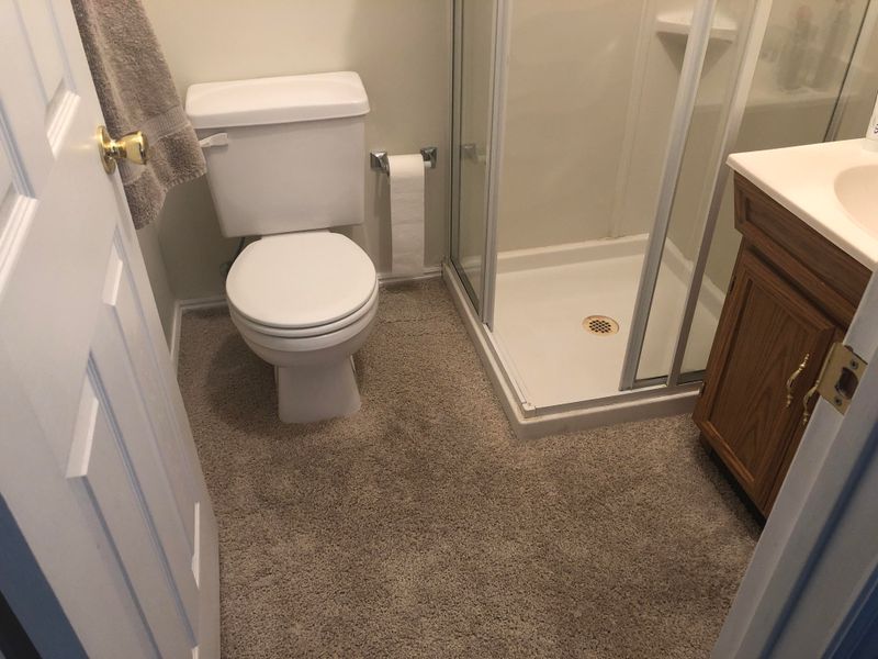 11 Things That Have No Business In Your Home And 7 You're Wasting Your Money On - Decor Hint Carpeted Bathrooms