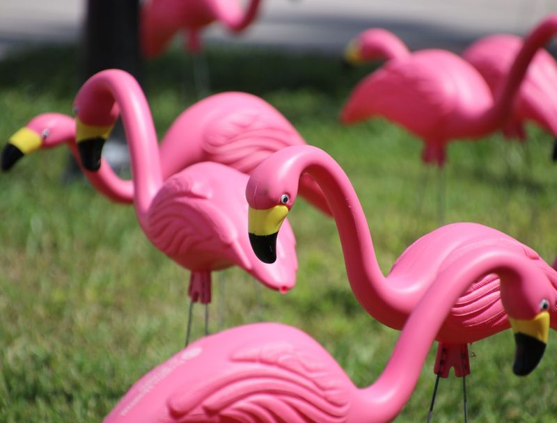 The Hidden Meaning Behind These 14 Outdoor Decorations - Decor Hint Pink flamingos – Playful rebellion and retro charm