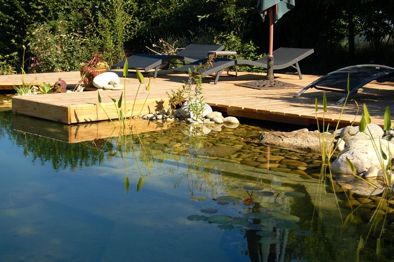 Water-Efficient Pool Alternatives