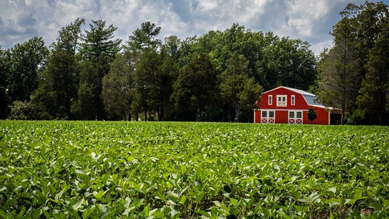 Indiana Home Trends: 4 Property Types Losing Value, 4 Set To Grow - Decor Hint Small-Scale Hobby Farms Growing In Demand