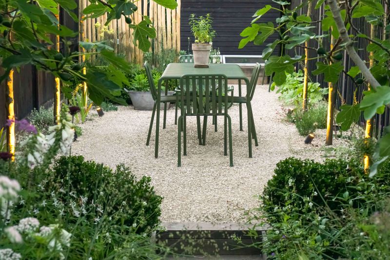 Seashell-Lined Pathways