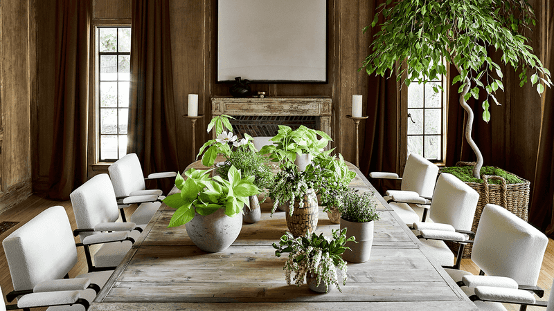 12 Quick Styling Updates from Los Angeles Homes That Instantly Elevate a Room - Decor Hint Add Potted Greenery