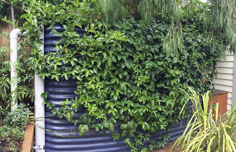 10 Outdoor Corners That Make Washington Homes Feel More Private - Decor Hint Vertical Rain Gardens