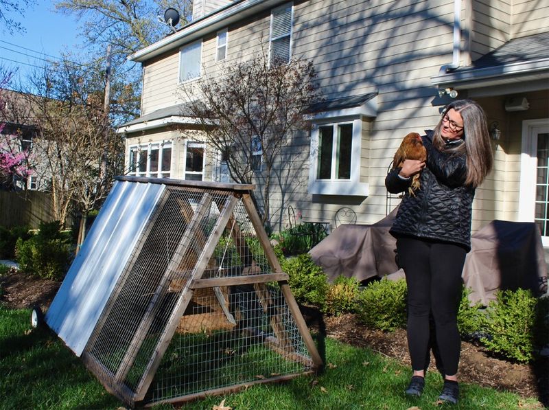 25 Home Features That Are Surprisingly Illegal In Some States - Decor Hint Backyard Chickens