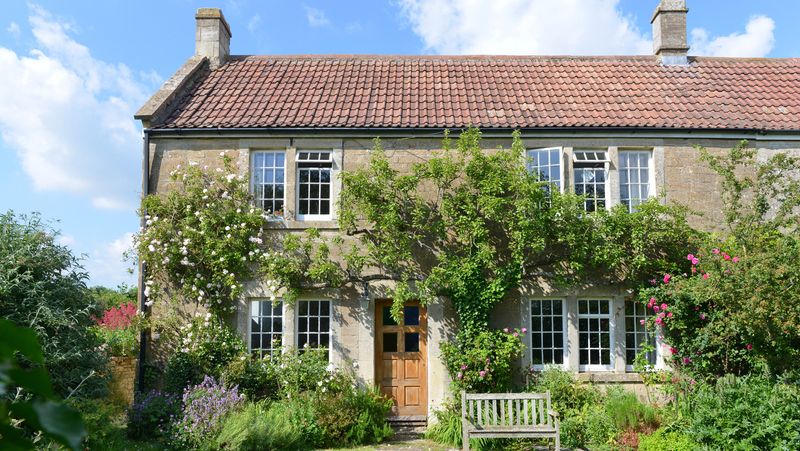 21 Landscaping Features That Are Really Annoying Your Neighbors, Real Estate Pros Say - Decor Hint Unruly Vine Coverage