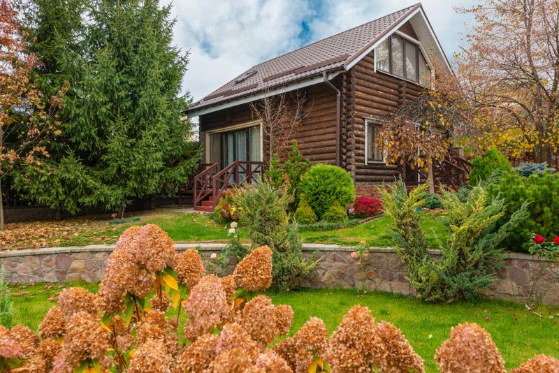Healthy Trees and Shrubs