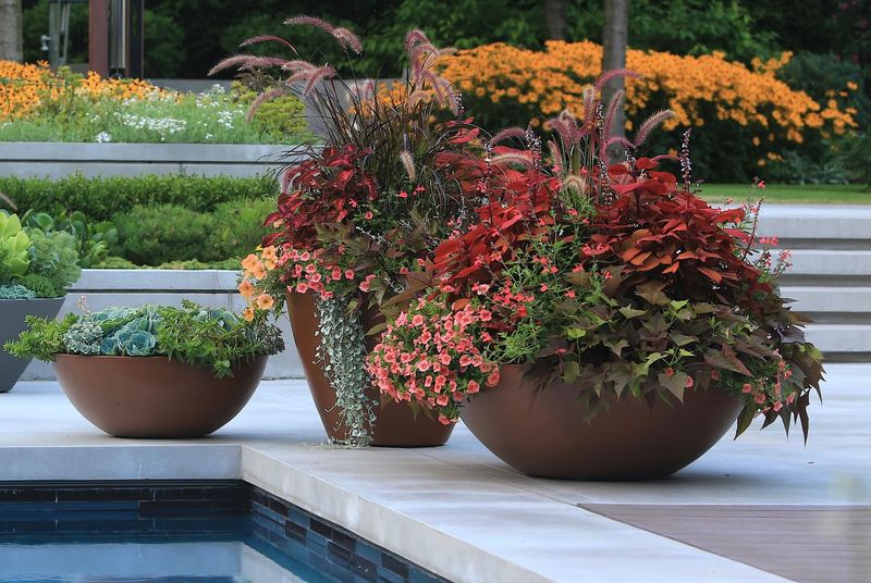 Painted Terracotta Pots In Color Blocks