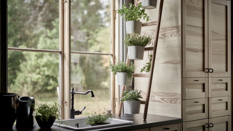 7 Things Making California Kitchens Look Cheap (Plus 7 That Instantly Elevate Them), According To Designers - Decor Hint Indoor Herb Gardens