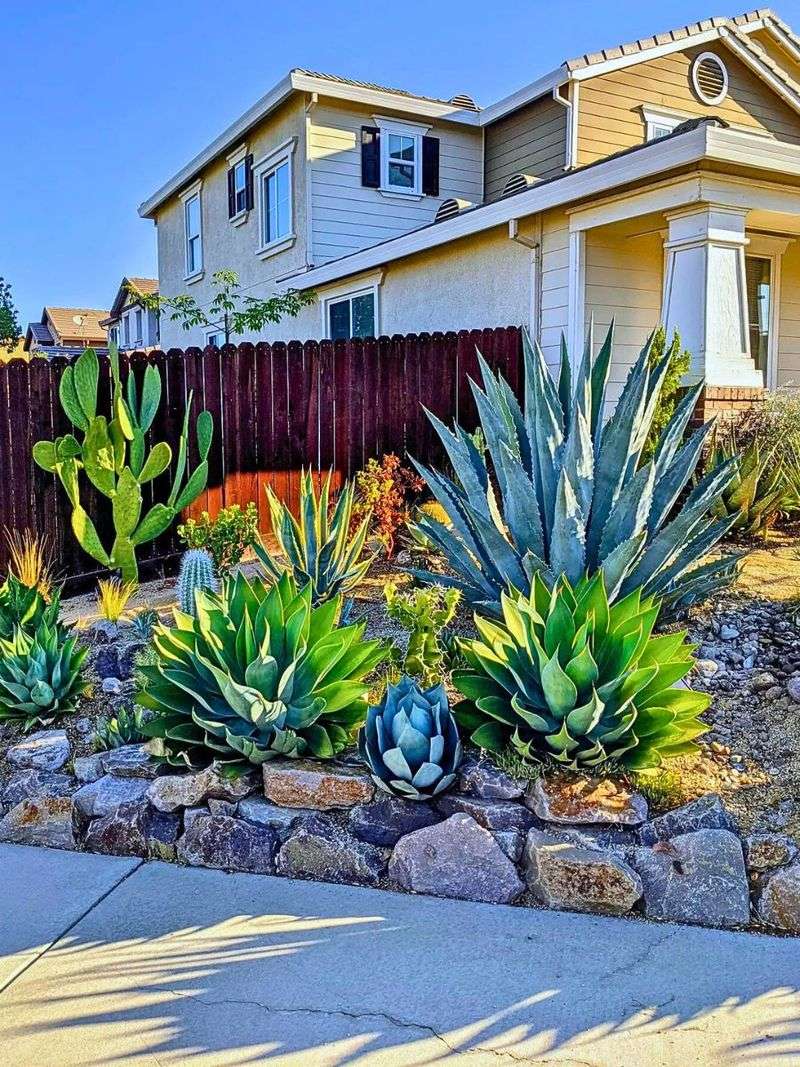 10 Reasons Arizona Homes Are Built for Beauty and Survival - Decor Hint Sustainable Landscaping