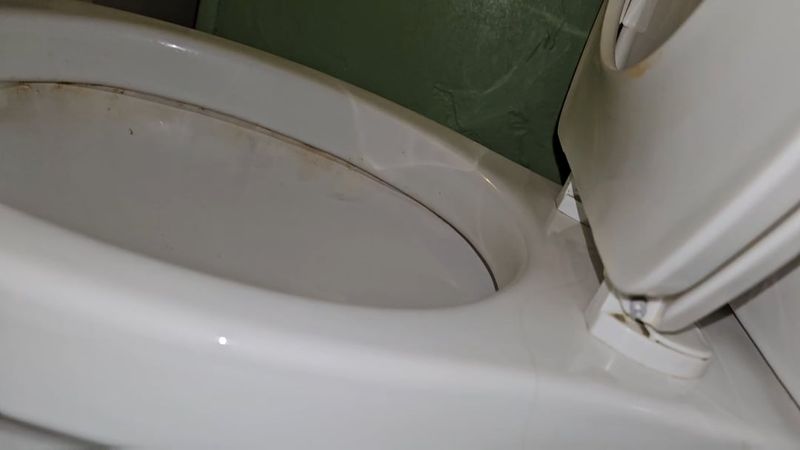 20 Outdated Décor Items That Make Your House Look Cheap - Decor Hint Wooden Toilet Seats