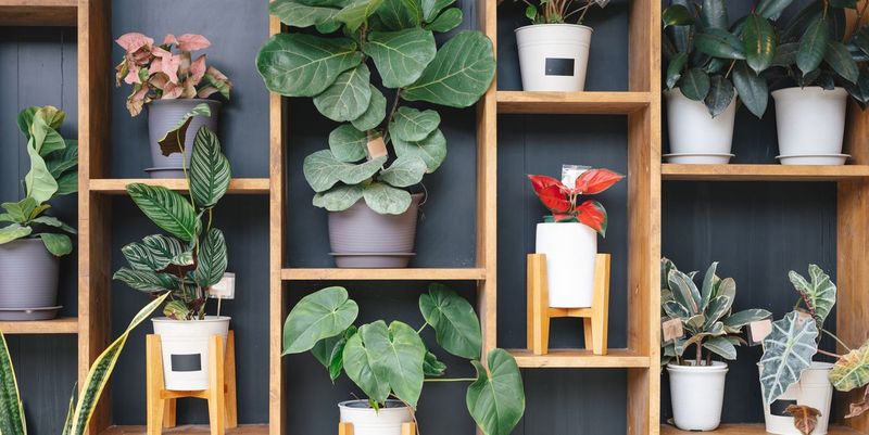 10 Ways You’re Accidentally Making Your Home Look Tacky And 6 More To Watch Out For - Decor Hint Overuse of faux plants