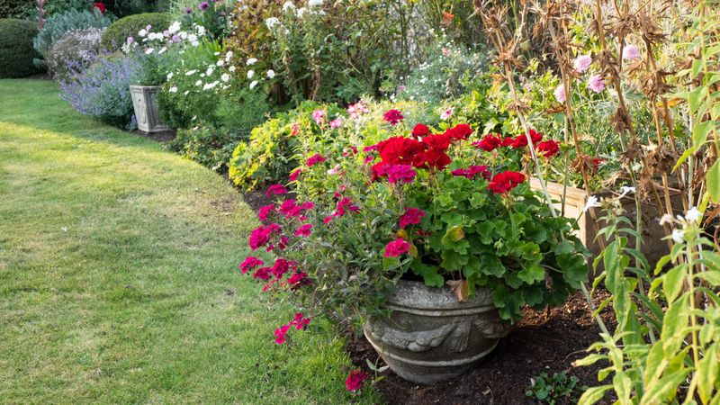 9 Cozy Patios That Define Everyday Life In Asheville - Decor Hint Local Pottery Garden Borders