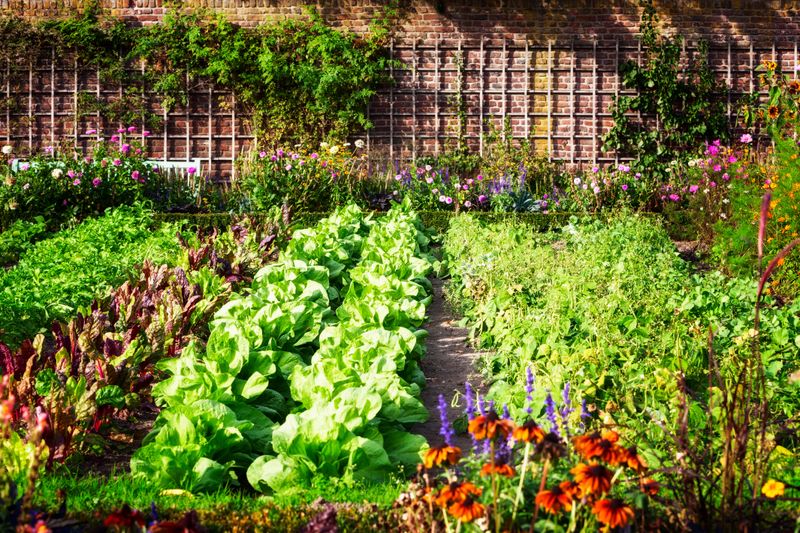 Charming Outdoor Features Seen In New Jersey Homes - Decor Hint Vegetable Gardens With Italian Influences