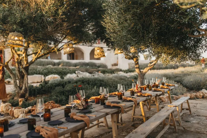 Dry Gardens, Terraced Paths, And Olive Trees