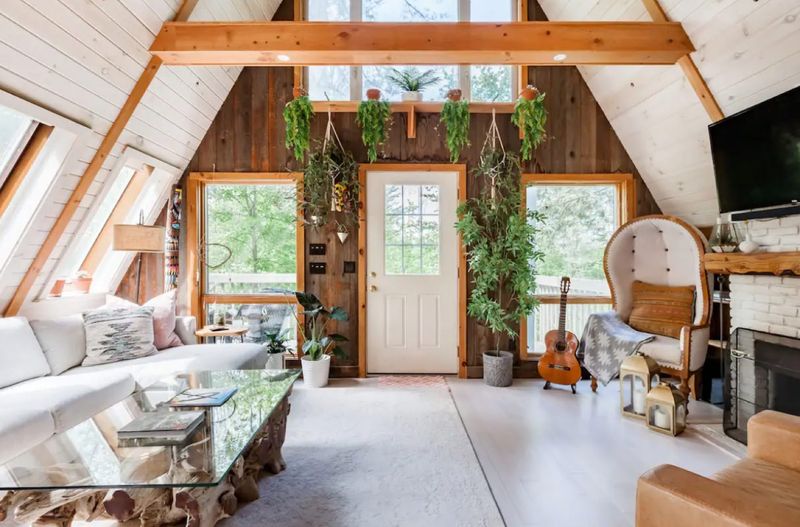 Clear Your Home Of 4 Things Idaho Designers Dislike And Keep 6 That Shine - Decor Hint Indoor Plants And Greenery