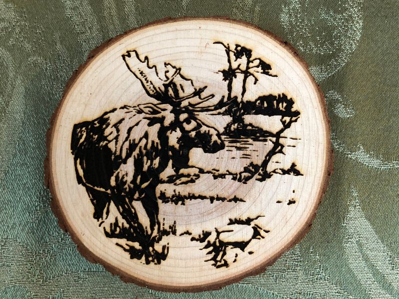 9 Vermont Collectibles Nobody Wants Anymore (And 3 Still Loved By Collectors) - Decor Hint Mass-Produced Moose-Themed Coasters