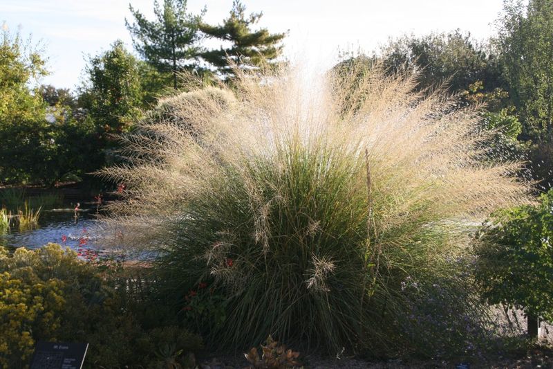 11 Weather-Smart Patio And Porch Ideas From Kansas Homes - Decor Hint Strategic Windbreak Plantings
