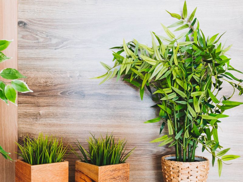 12 Interior Items Designers Say You Should Never Waste Money On (And 10 To Not Even Think About Buying) - Decor Hint Faux Plants That Collect Dust