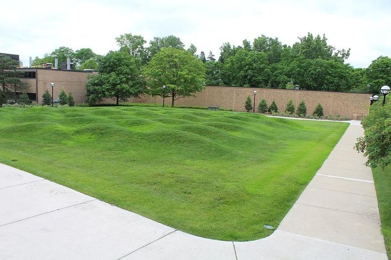 8 Curb Appeal Classics Michigan Homeowners Can't Stop Showing Off - Decor Hint Manicured Lawns That Stay Green Despite Weather Challenges
