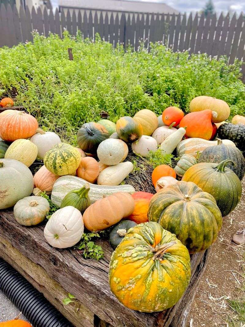 The Fall Fun That Turns a Quick Stop Into a Full Day Out