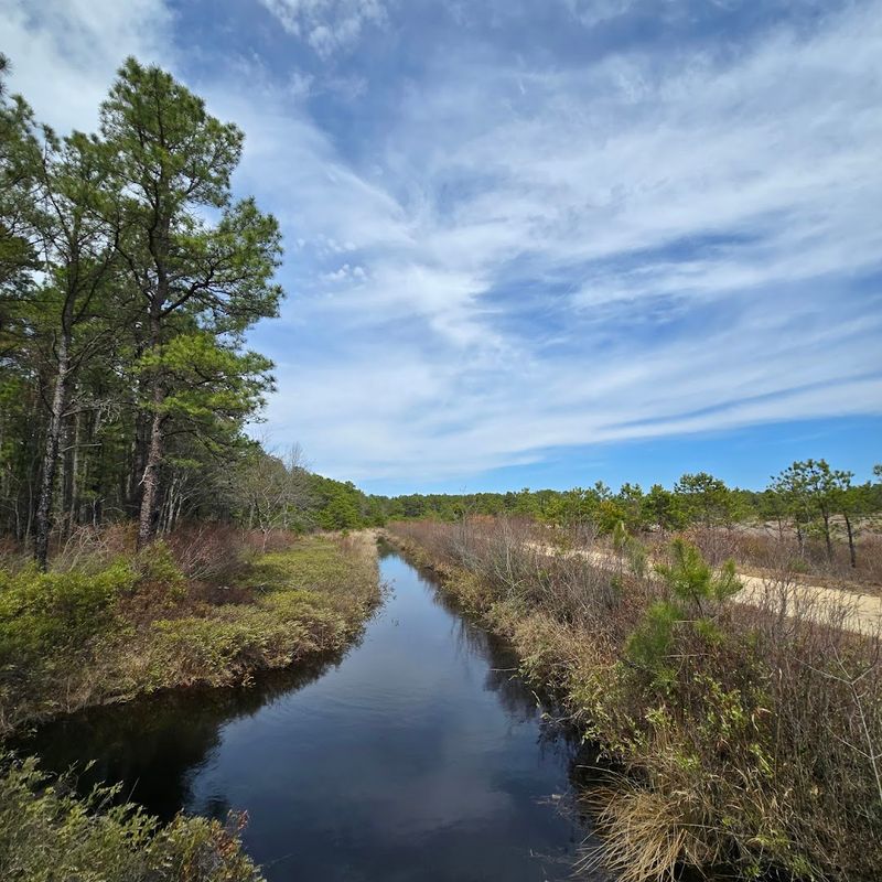 Franklin Parker Preserve White Trail