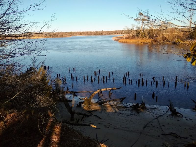 Maurice River Bluffs Preserve, Millville area (Cumberland County)