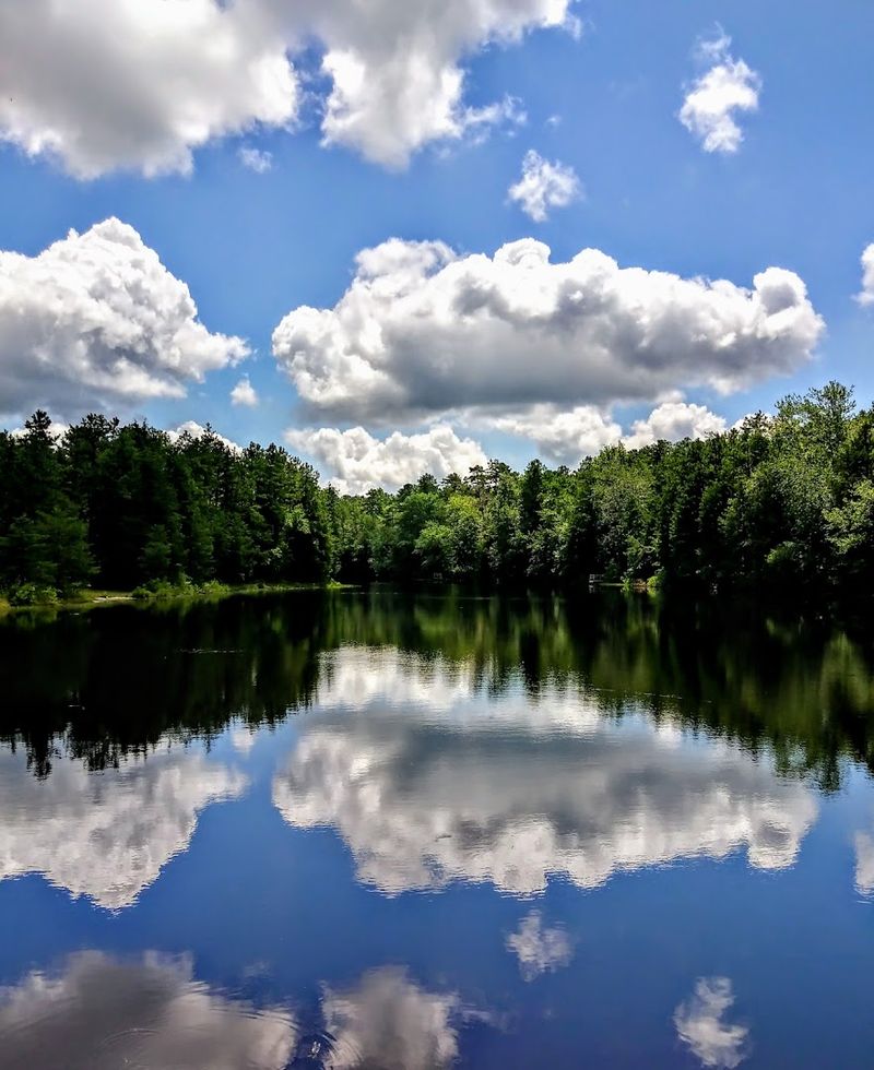 Pakim Pond (Burlington County)