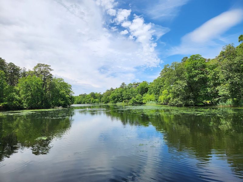 The rare plants and wildlife that make every walk more interesting