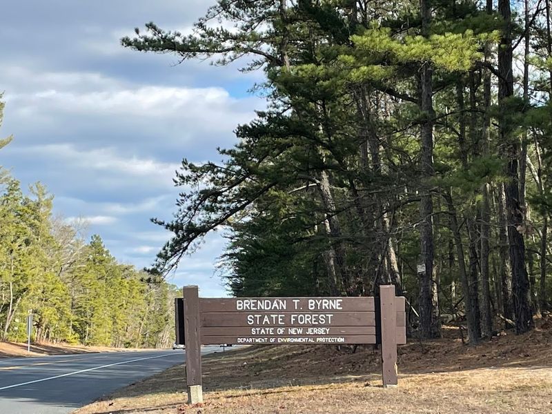 Brendan T. Byrne State Forest