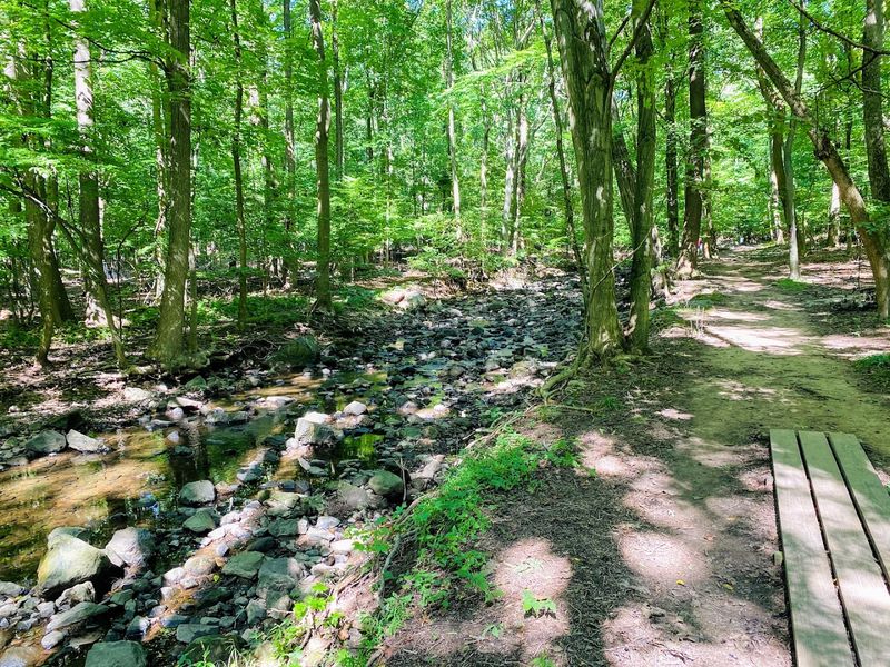 Flat Rock Brook Nature Center Accessible Trail