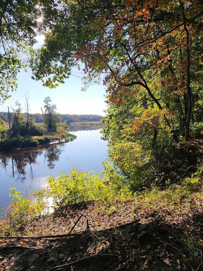 Why Rancocas State Park Still Feels Like a Secret