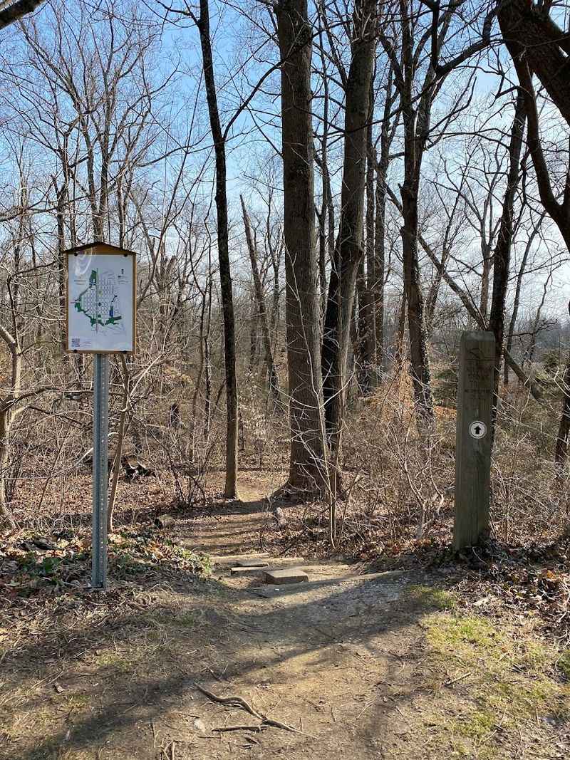 How Wenonah&rsquo;s Trails and Green Spaces Shape Everyday Life