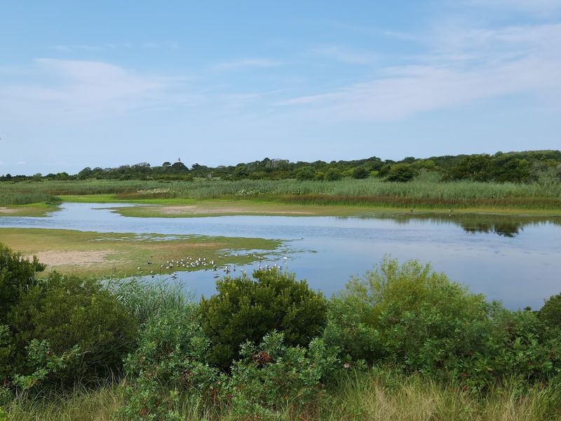 South Cape May Meadows, Cape May Point (Cape May County)