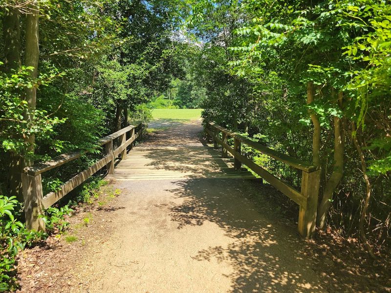 The trail network that lets you see lakes forests and wetlands in one trip