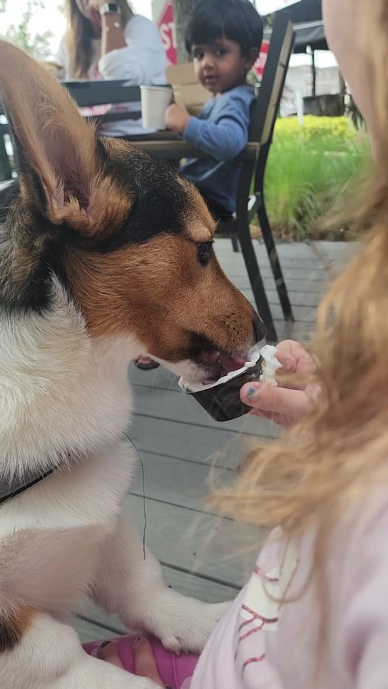 This Jersey City coffee stop knows how to treat dogs right