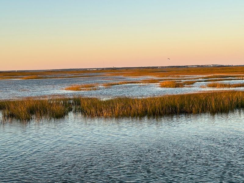 Why the marsh views here are some of the most memorable in South Jersey