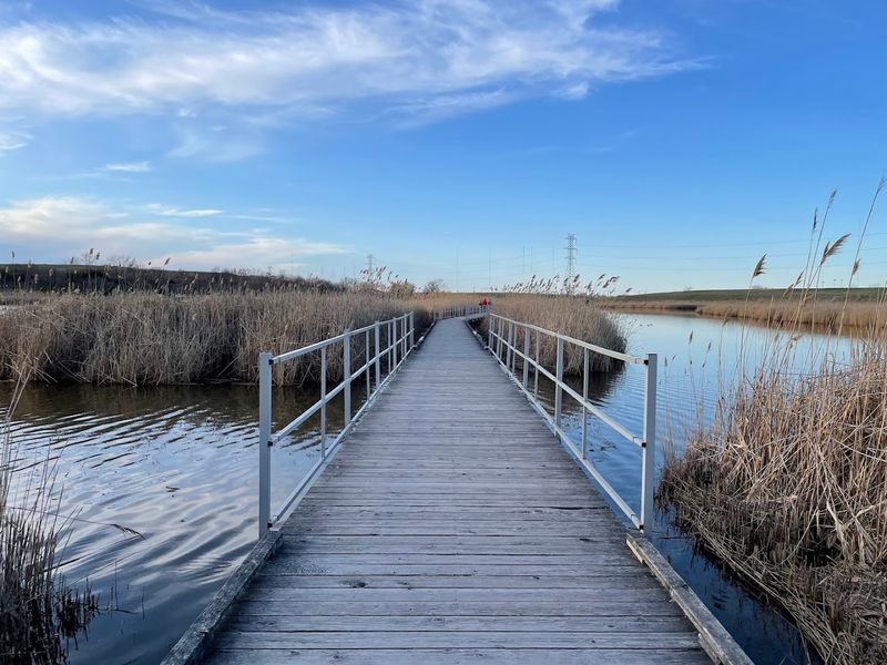 DeKorte Environmental Center Trails