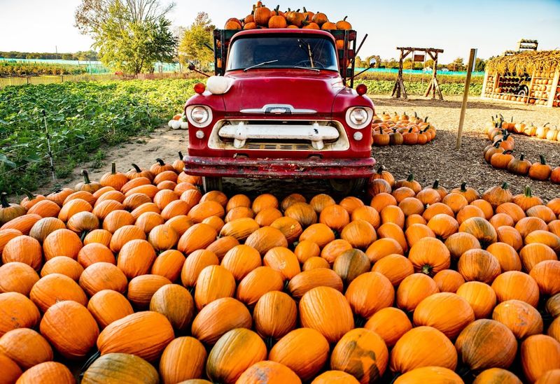 Why Happy Day Farm Feels Like One of New Jersey&rsquo;s Best Hidden Day Trips