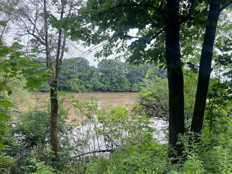 Lamington River Trail
