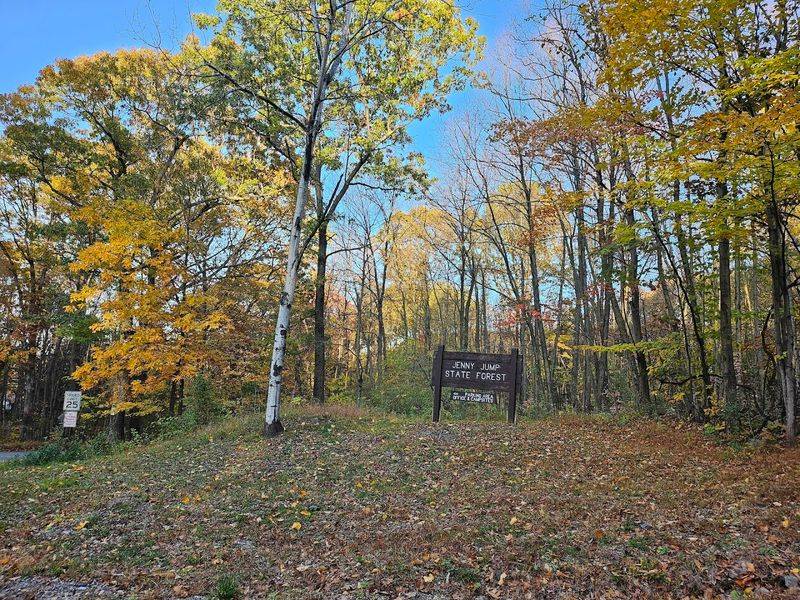 Jenny Jump State Forest - Hope
