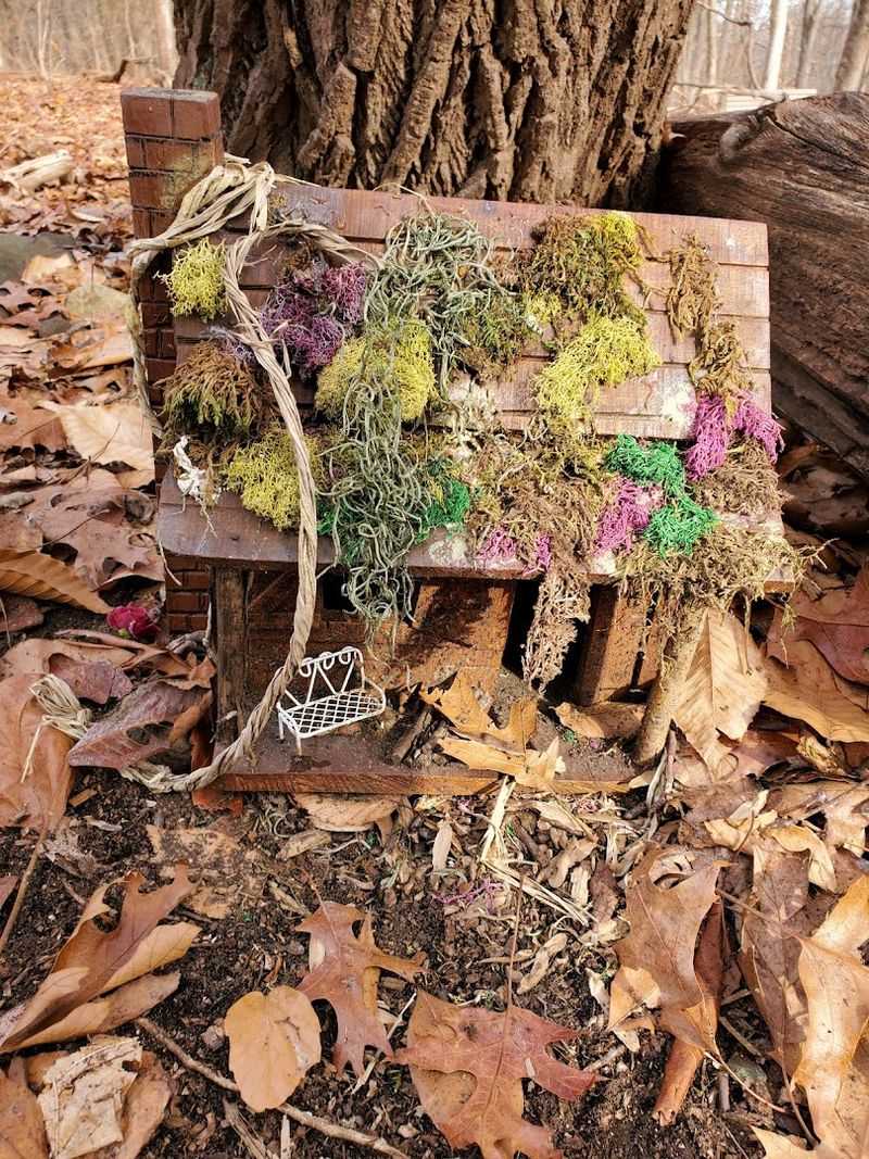 Where Kids Start Looking Closer at Every Root and Tree Hollow